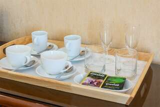 Гостиница Бутик-Отель Аристократ Санкт-Петербург Представительский люкс-8