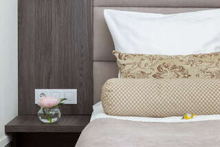 Гостиница Бутик-Отель Аристократ Санкт-Петербург Двухместный номер с 1 большой кроватью-6