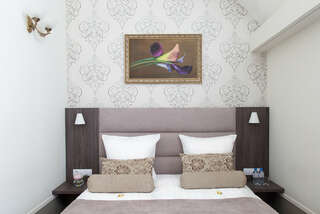 Гостиница Бутик-Отель Аристократ Санкт-Петербург Двухместный номер с 1 большой кроватью-5