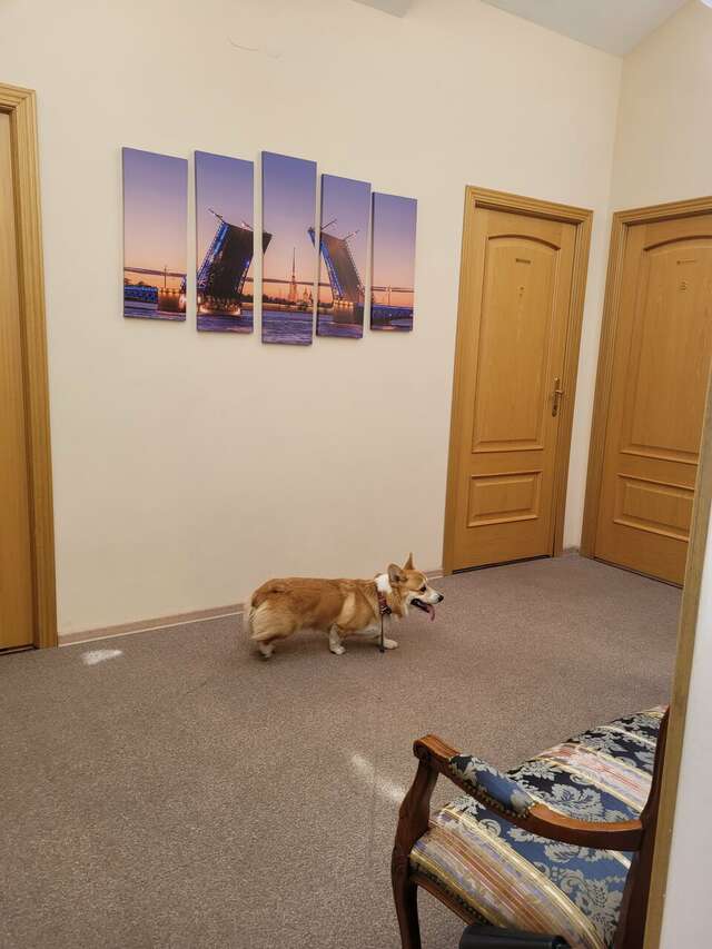 Гостиница Бутик-Отель Аристократ Санкт-Петербург-49